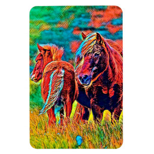 Djurfärg_Häst_018 Magnet
