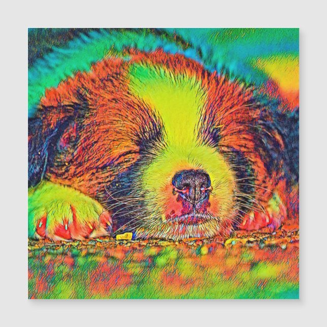 Djurfärg_Hund_017 (Framsida)