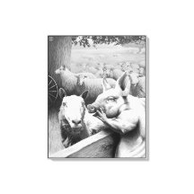 Djurfarmen - Squealer