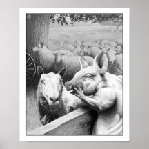 Djurfarmen - Squealer