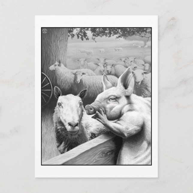 Djurfarmen - Squealer Vykort (Framsida)