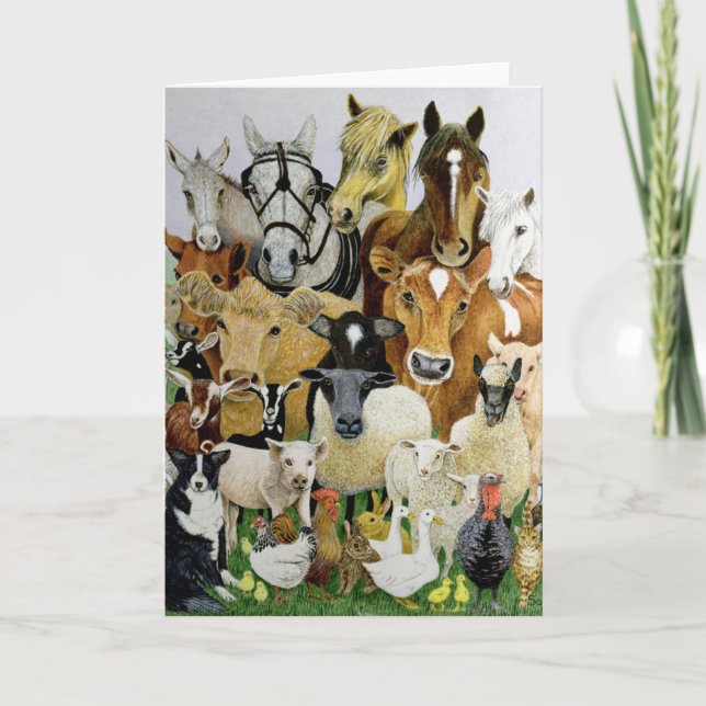 Djurförsök Kort (Framsida)