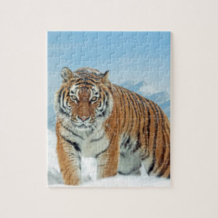 Djurfoto för Tiger Winter Snö-bergen Pussel