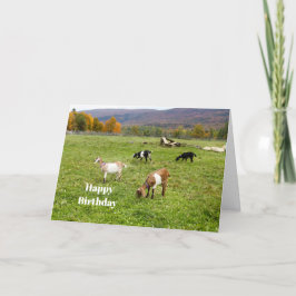 Djurgetter Pasture Vermont Photo Birthday Kort