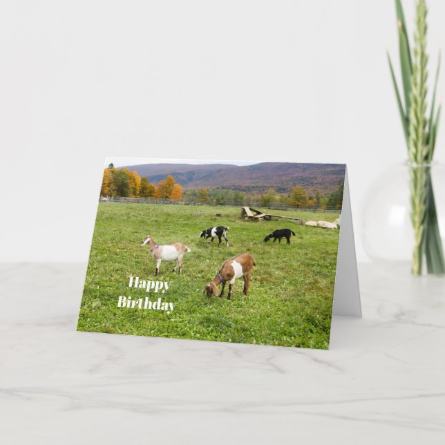 Djurgetter Pasture Vermont Photo Birthday Kort (Framsida)
