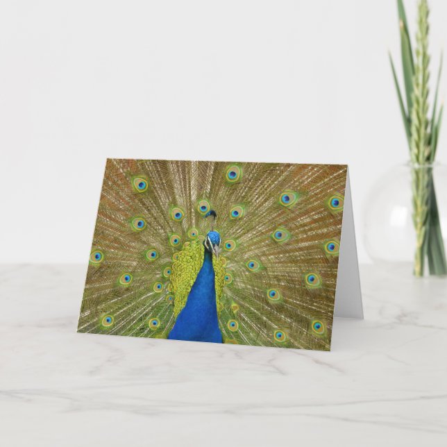 Djurhälsningskort Kort (Framsida)