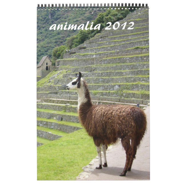 Djurkalender 2012 kalender (Omslag)