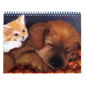 Djurkalender 2013 kalender