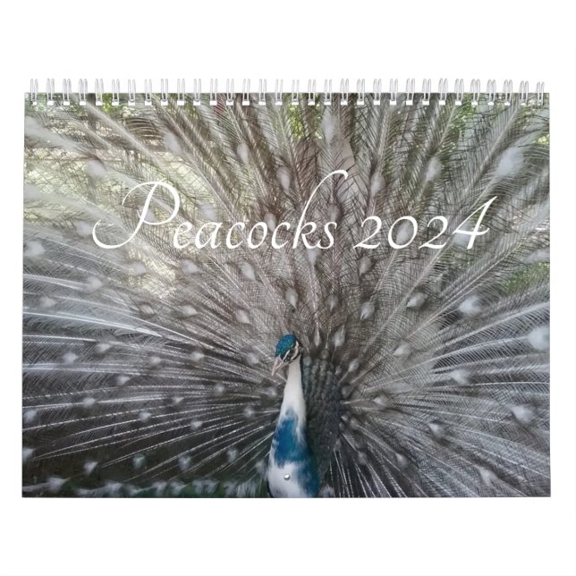Djurkalender 2024 kalender (Omslag)