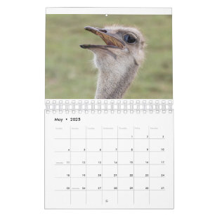 Djurkalender 2026 kalender
