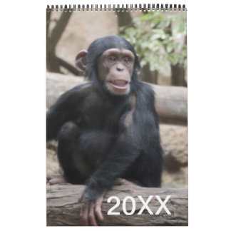 Djurkalender 20XX Kalender