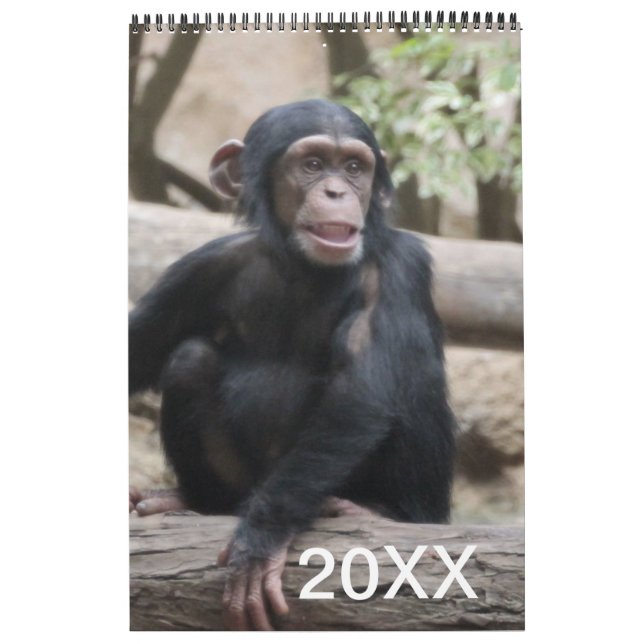 Djurkalender 20XX Kalender (Omslag)