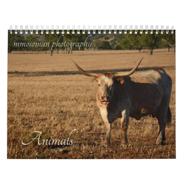 Djurkalender Kalender (Omslag)