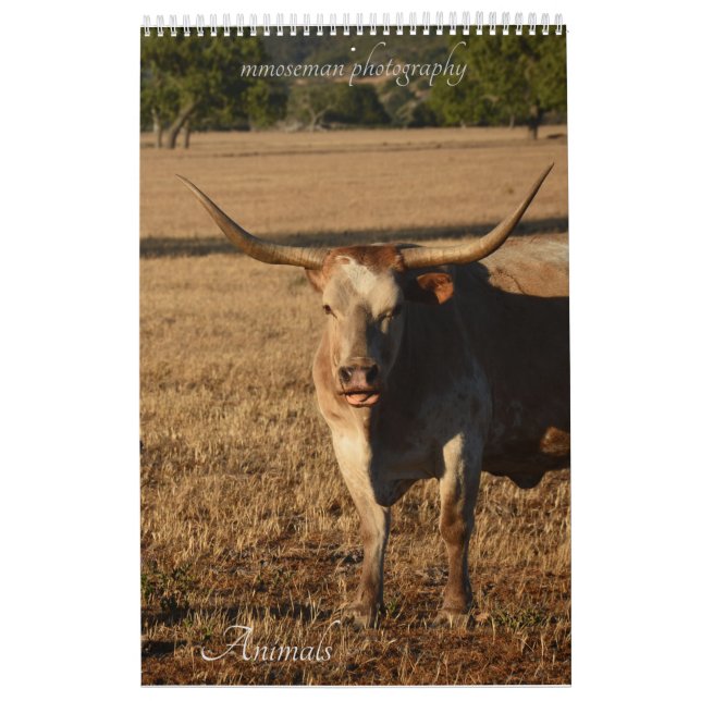Djurkalender Kalender (Omslag)