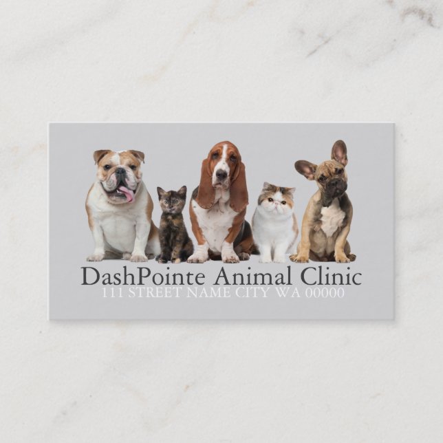 Djurklinik  Skyddshem för husdjur Veterinär Visitkort (Framsida)