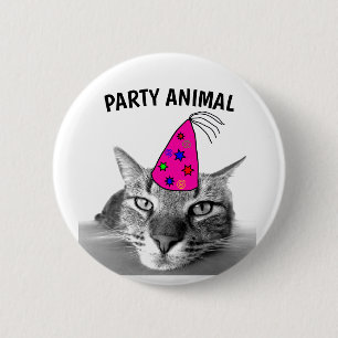 DJURKNAPPAR FÖR BIRTHDAY TABBY KATT PARTY KNAPP