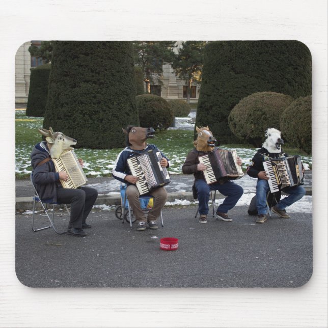 Djurkonsert Musmatta (Framsidan)