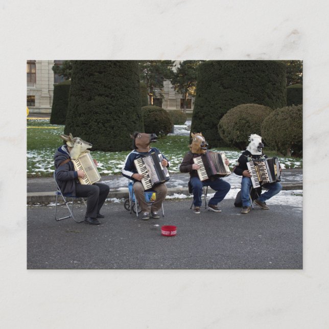 Djurkonsert Vykort (Framsida)