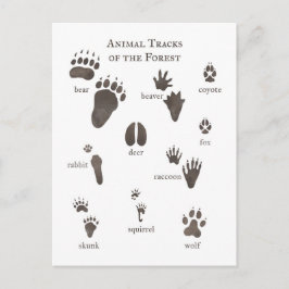 Djurkontakt med skogens djur i vykort