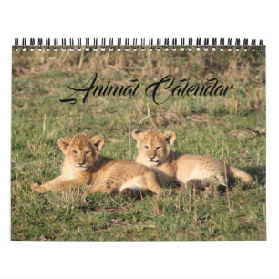 Djurkontoret i Vilda djur, hemmet Destiny's Destin Kalender