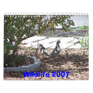 Djurliv 2007 kalender