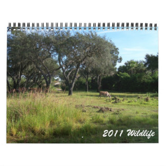 Djurliv 2011 kalender