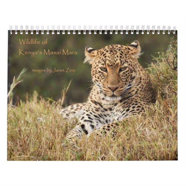 Djurliv av Kenya den MasaiMara kalendern Kalender (Omslag)