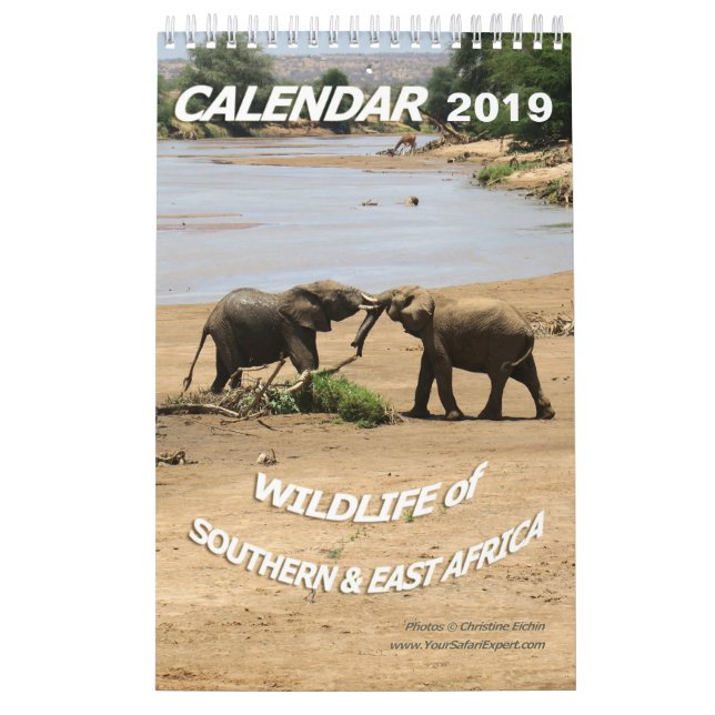DJURLIV av sydligt & East Africa (singelsidan) Kalender (Omslag)