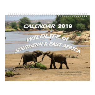 DJURLIV av sydligt & East Africa (Två-Sidan) Kalender