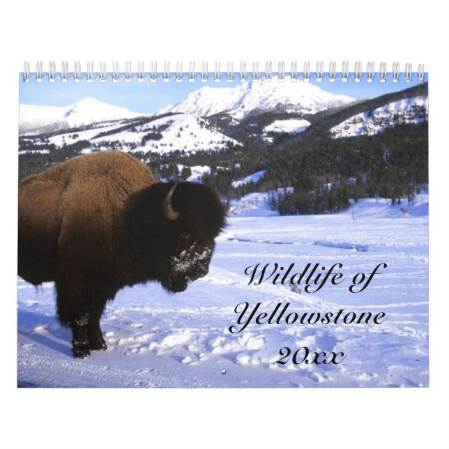 Djurliv av Yellowstone Kalender (Omslag)