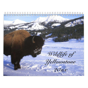 Djurliv av Yellowstone Kalender