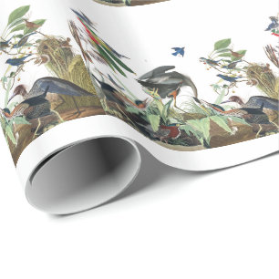Djurliv för Audubon Collagefåglar som slår in Presentpapper
