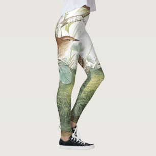 Djurliv för Audubon gärdsmygfågel All över Leggings