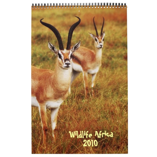 Djurlivafrikakalender 2010 - afrikansk safari kalender (Omslag)