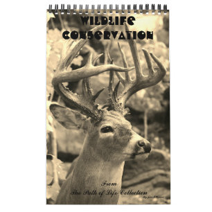 Djurlivbeskydd Kalender