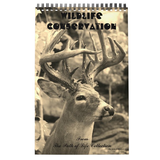 Djurlivbeskydd Kalender (Omslag)