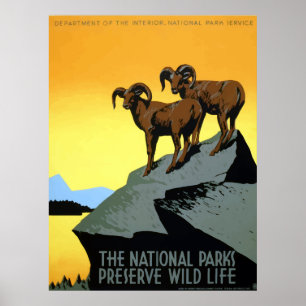 Djurlivet för WPA-vintagenationalparker reser Poster