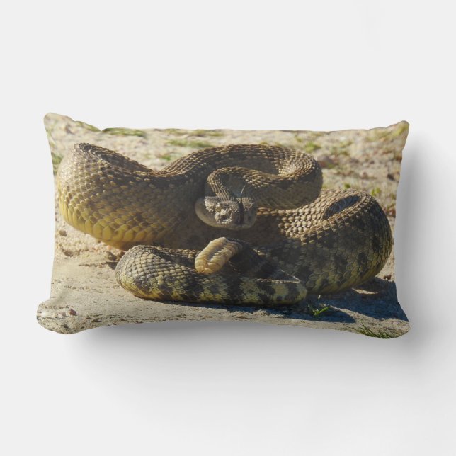 Djurlivet kudder, reptilar, ormar, skallerorm lumbarkudde (Framsida)