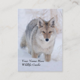 Djurlivet vägleder prärievargvisitkorten visitkort