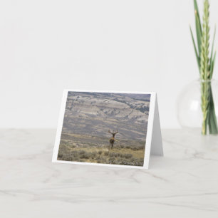 Djurlivfotografi noterar kortdesign 1 kort
