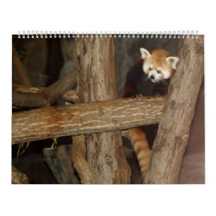 Djurlivfotos kalender