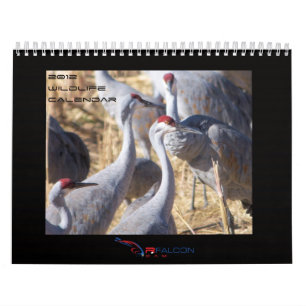 Djurlivkalender 2012 kalender