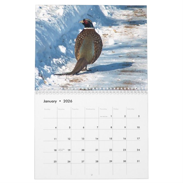 Djurlivkalender 2012 kalender (Jan 2026)