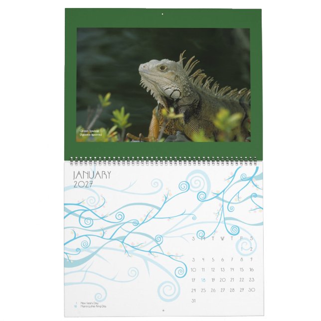 djurlivkalender - 2012 kalender (Jan 2027)
