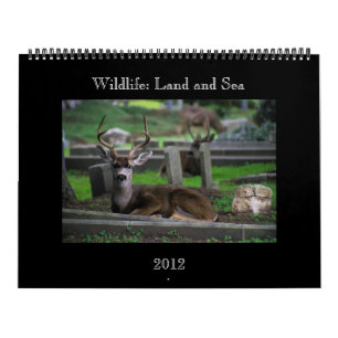 djurlivkalender - 2012 kalender