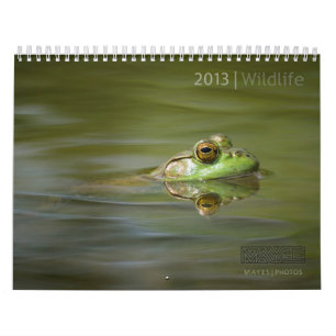 DJURLIVKALENDER 2013 VID FOTO FÖR MAYES %PIPE% KALENDER