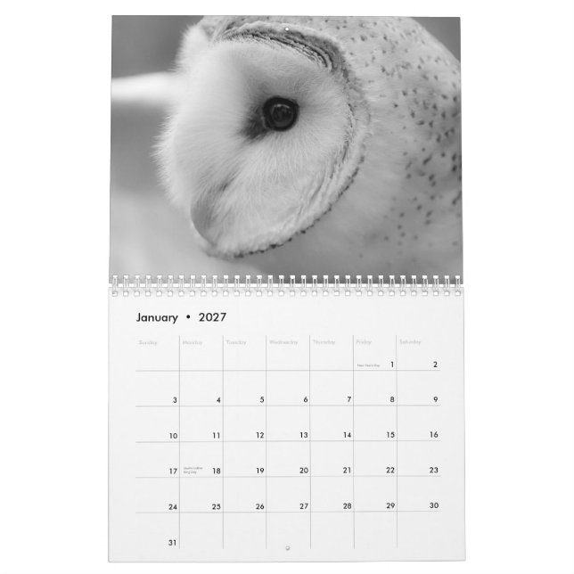 DJURLIVKALENDER 2013 VID FOTO FÖR MAYES %PIPE% KALENDER (Jan 2027)