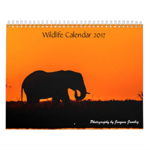 Djurlivkalender 2017 kalender