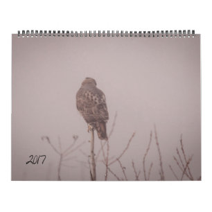 Djurlivkalender 2017 kalender