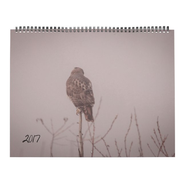 Djurlivkalender 2017 kalender (Omslag)